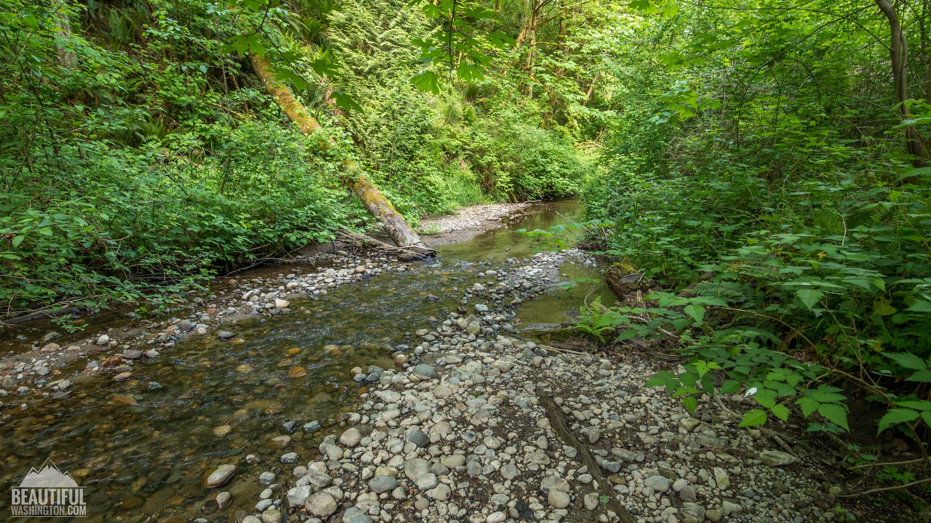Coal Creek Park best places for recreation in King County WA