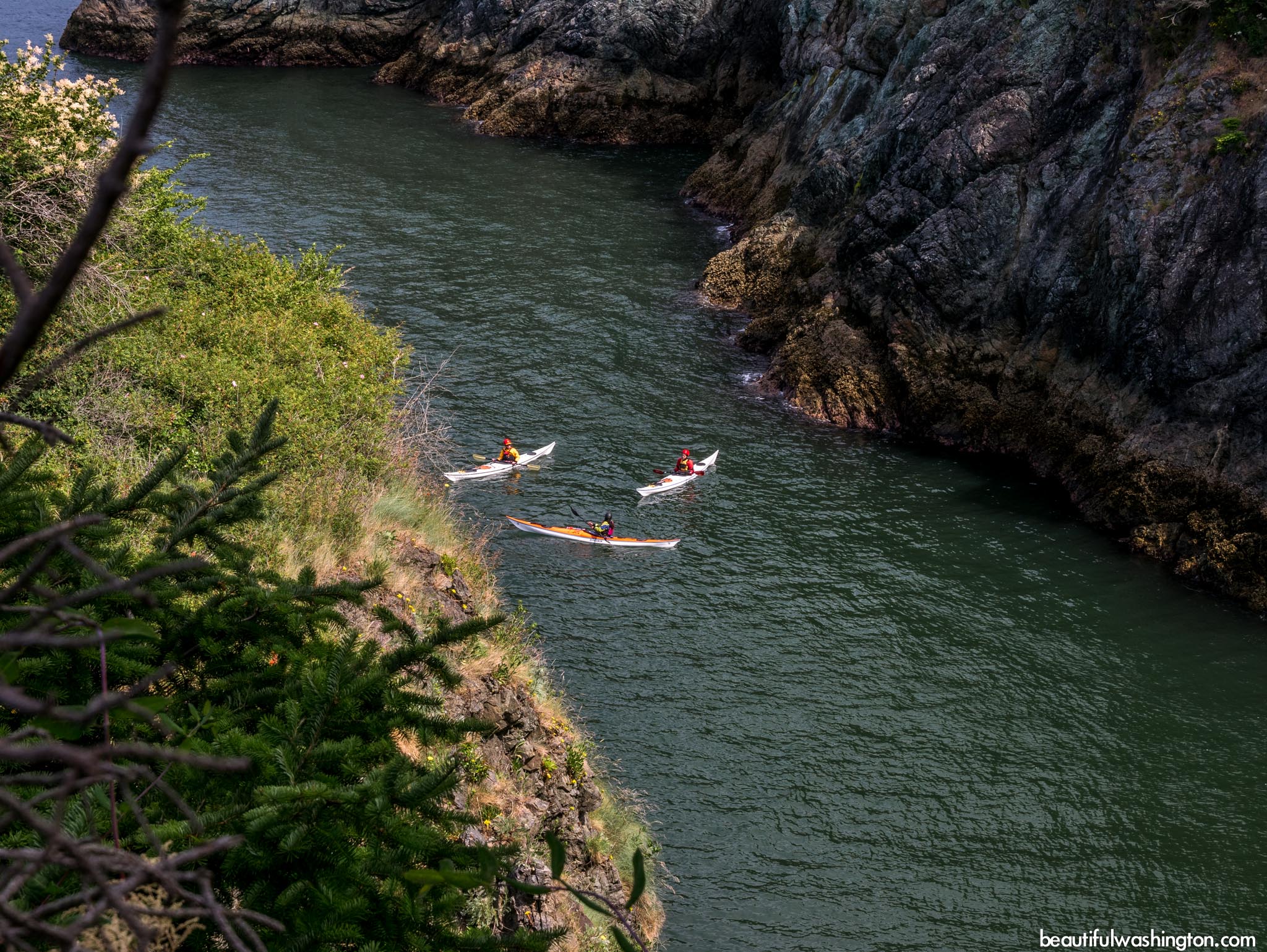 Deception Pass Headlands Trail 59 Photo from North Cascades, Anacortes Island, Deception Pass State Park