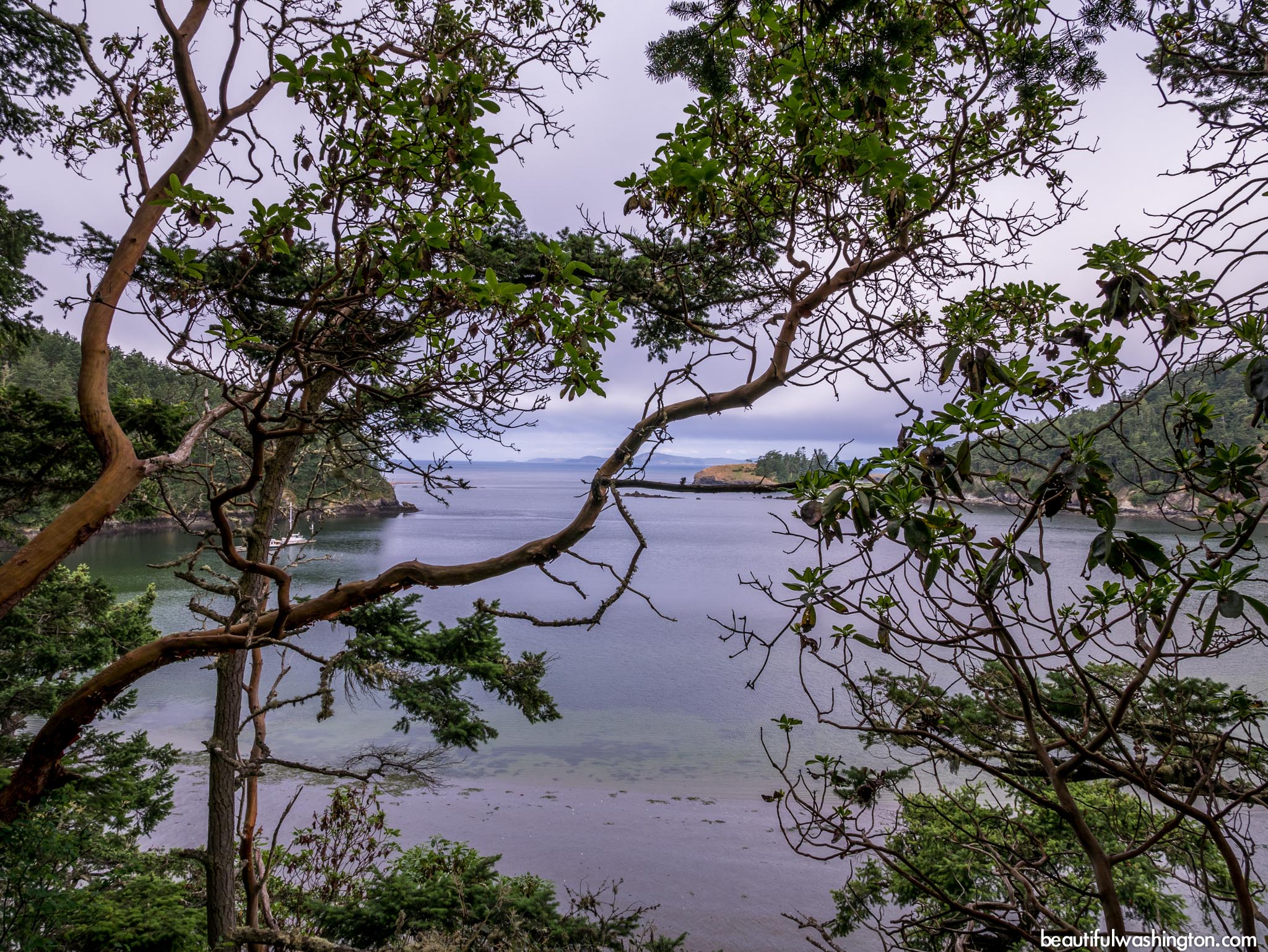 Deception Pass Headlands Trail 7 Photo from North Cascades, Anacortes Island, Deception Pass State Park