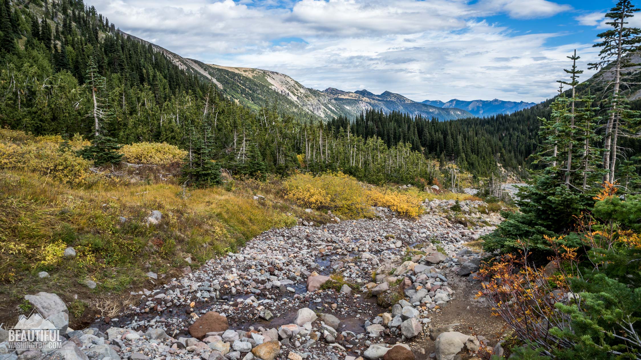 Glacier Basin Trail 48 Photo from Mount Rainier, Glacier Basin Trail