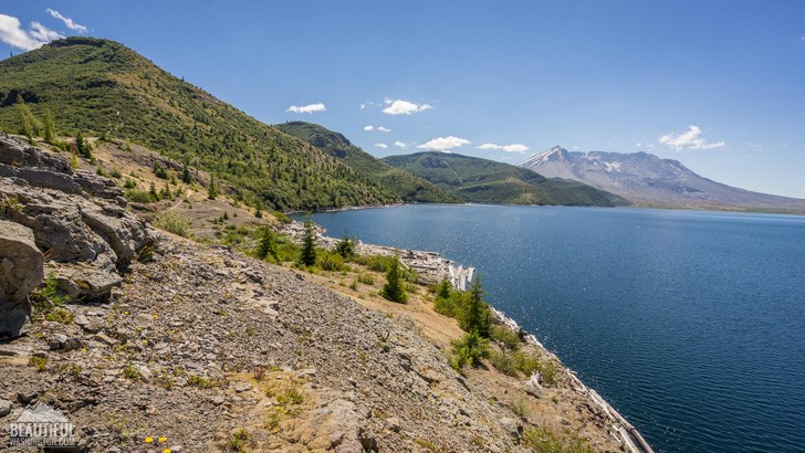 Photo taken from the Harmony Falls Trail, South Cascades Region, Mount St. Helens Area