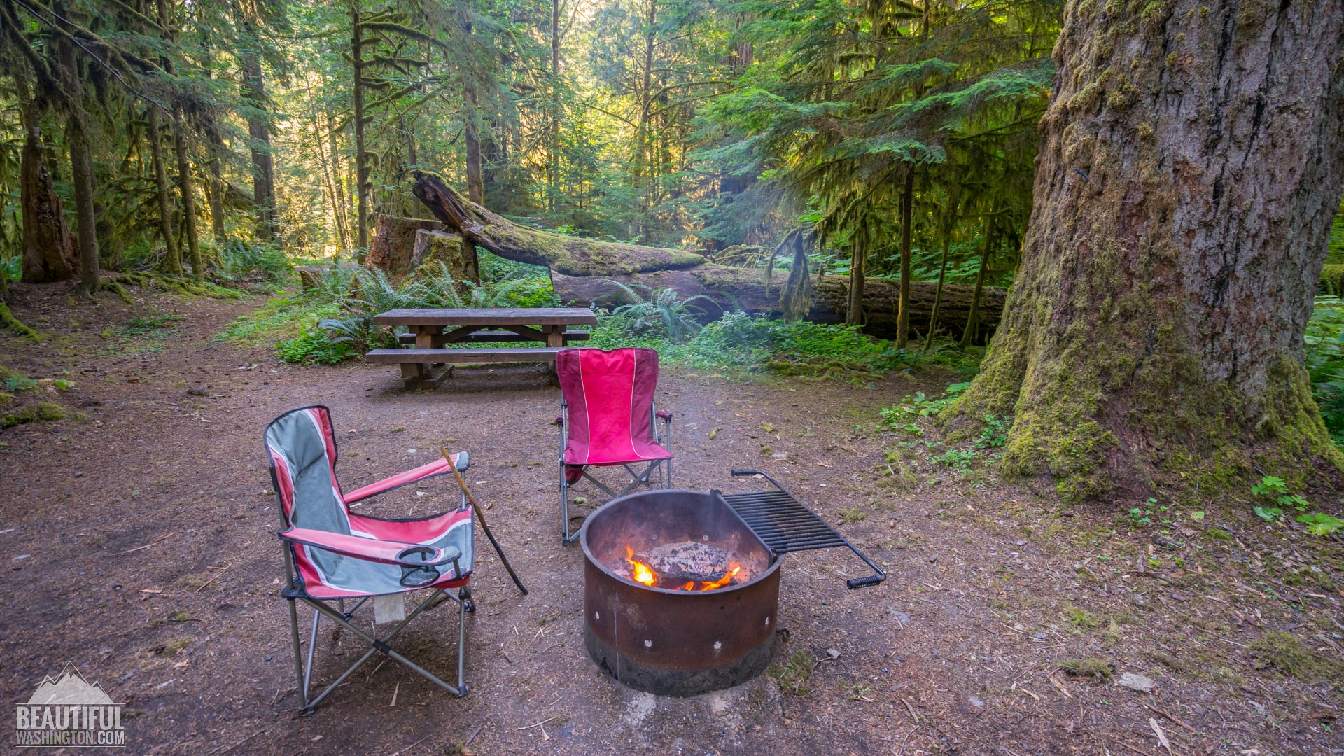 Iron Creek Campground of the Gifford Pinchot National Forest