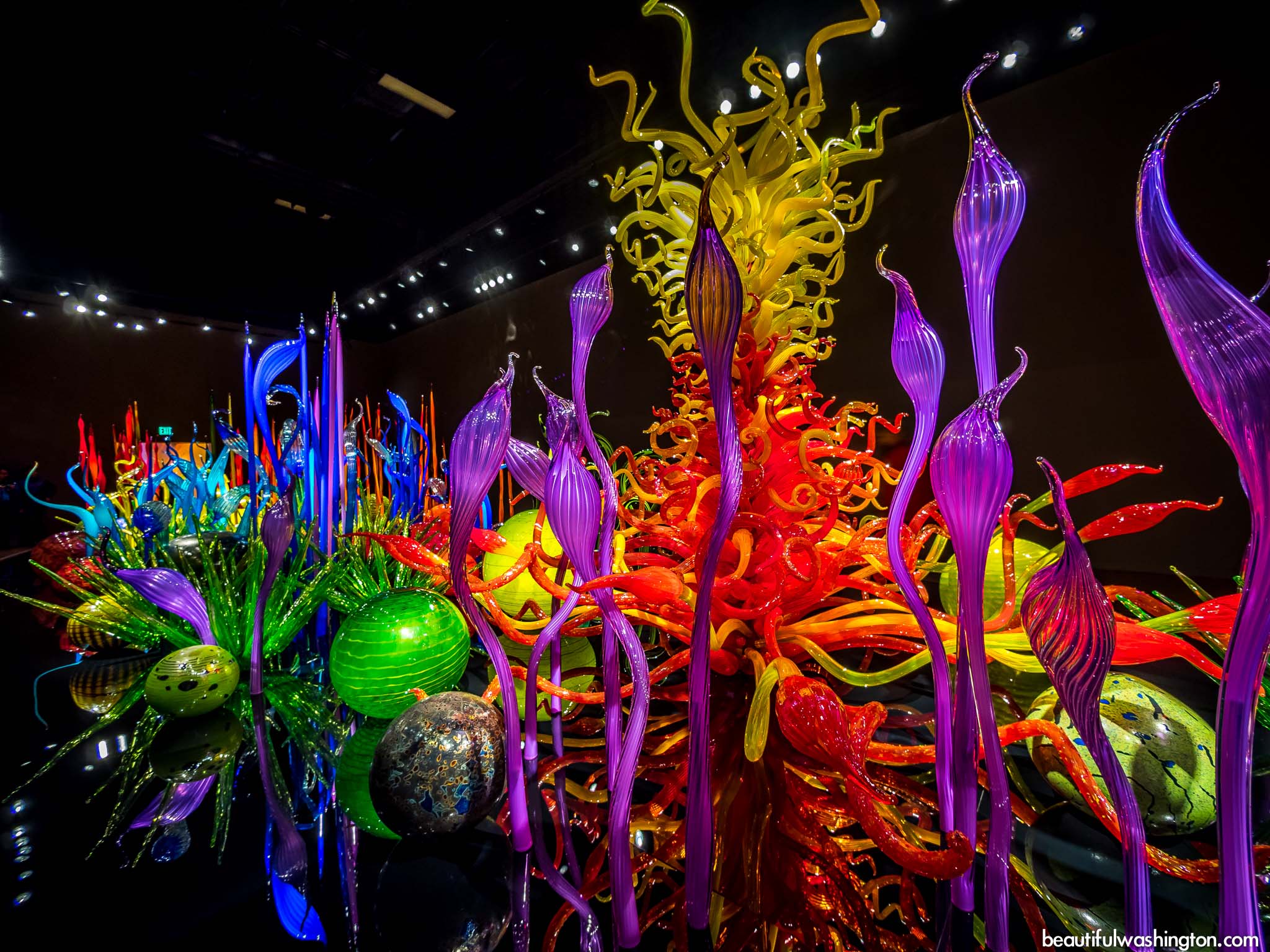 Art1 3 4 Chihuly Lessons Tes Teach