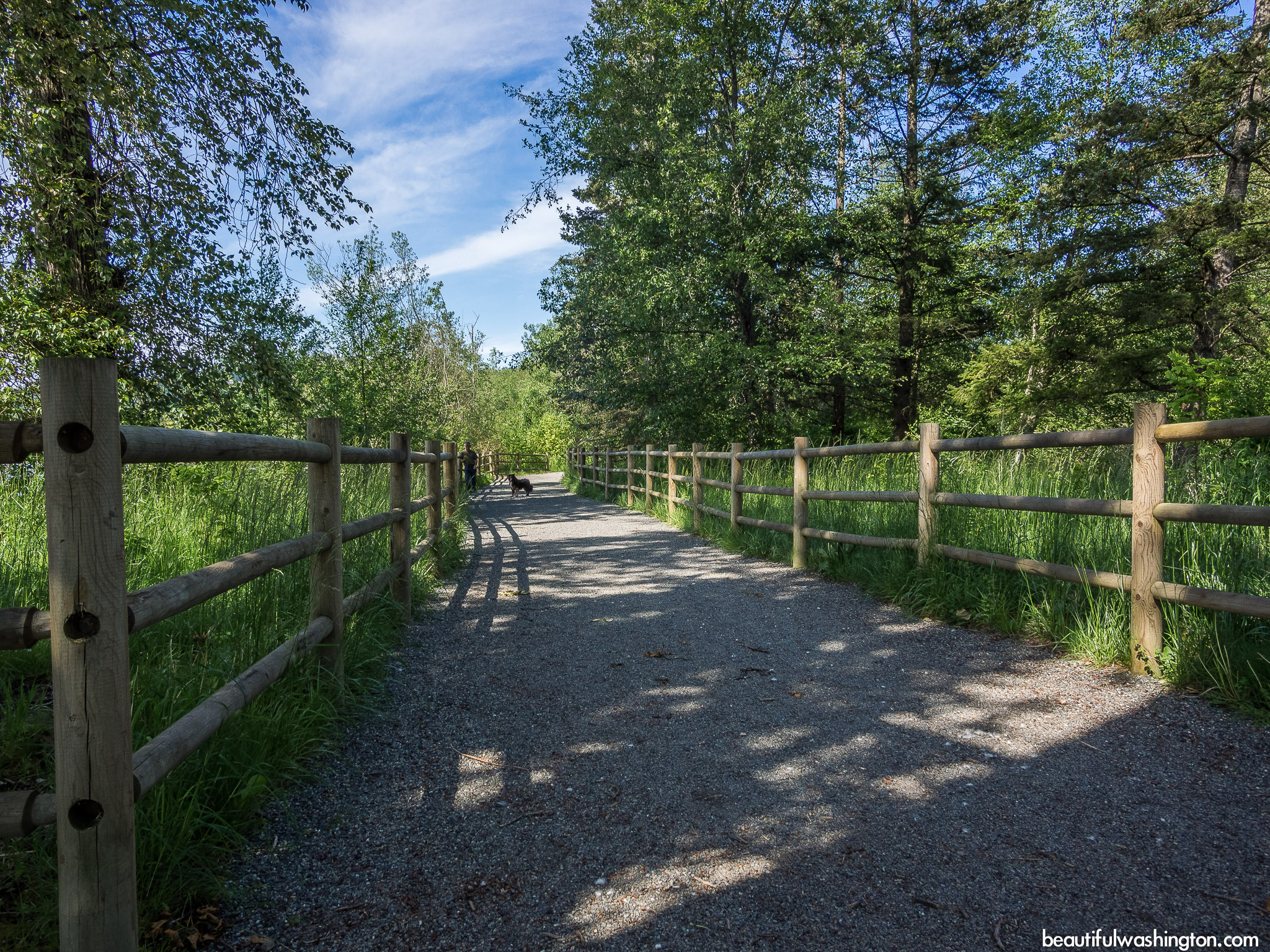 Lake Sammamish State Park 26 Photo from King County, Sammamish, Lake Sammamish State Park