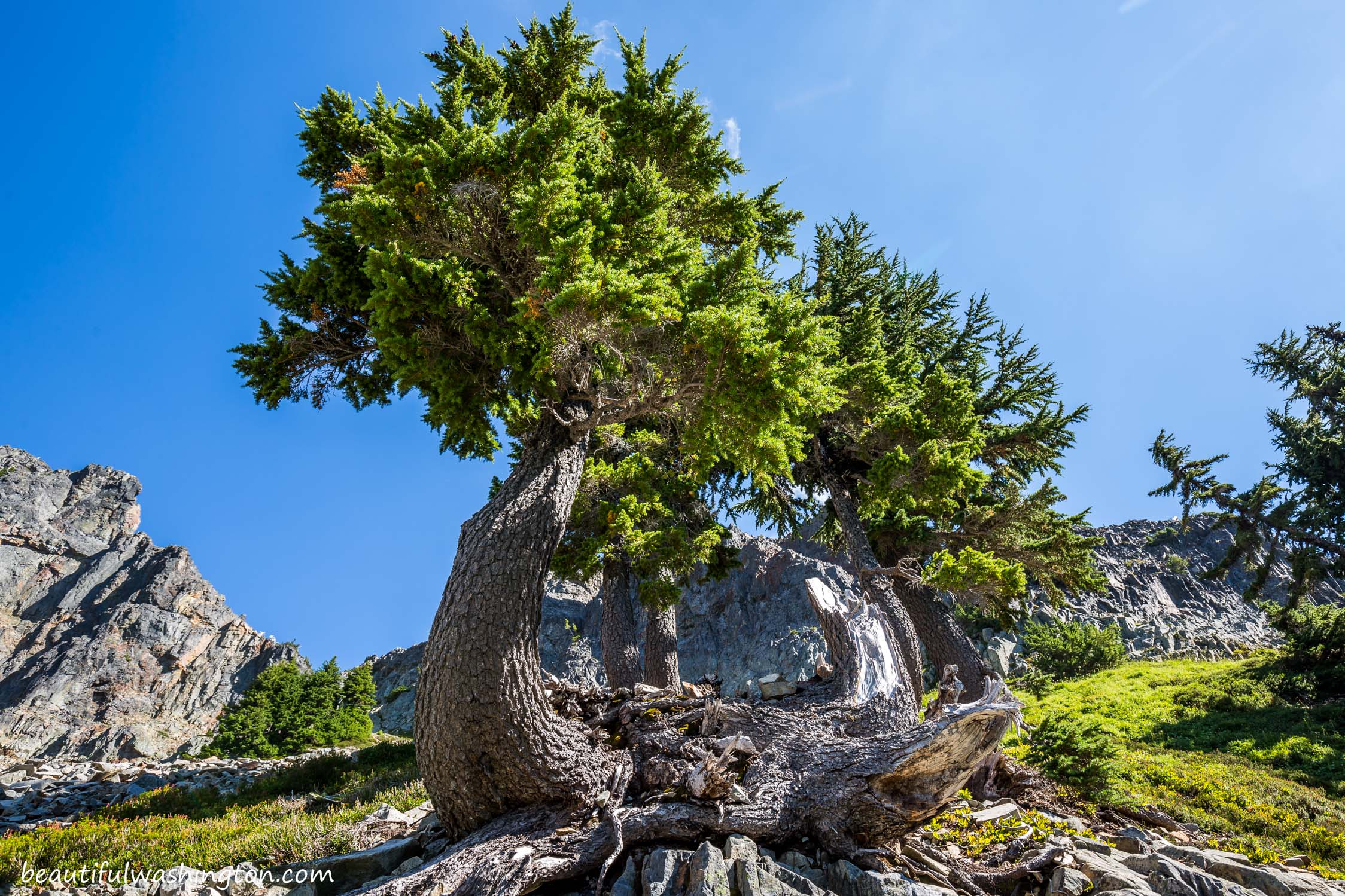 Pinnacle Peak Trail 20 Photo from Mount Rainier, Paradise Area, Pinnacle Peak