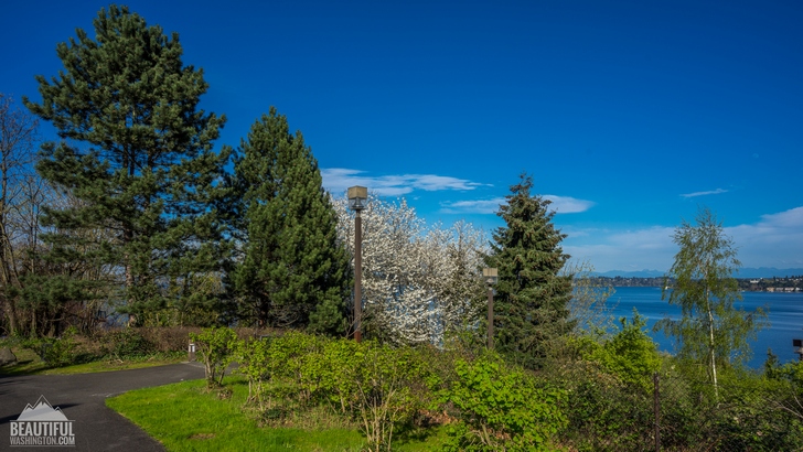 Sam Smith Park 24 Photo from Seattle, Washington State