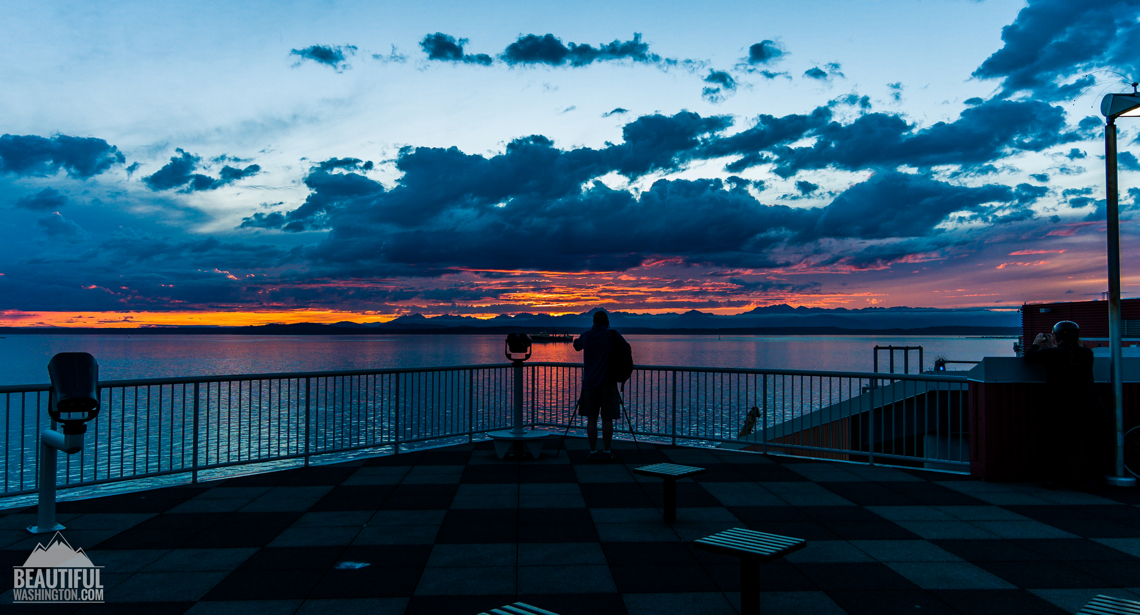 Sprawling gridlock essay 05 picture