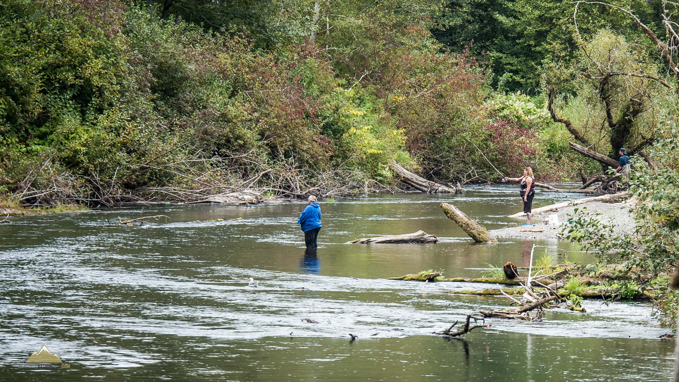 Skokomish River Fishing