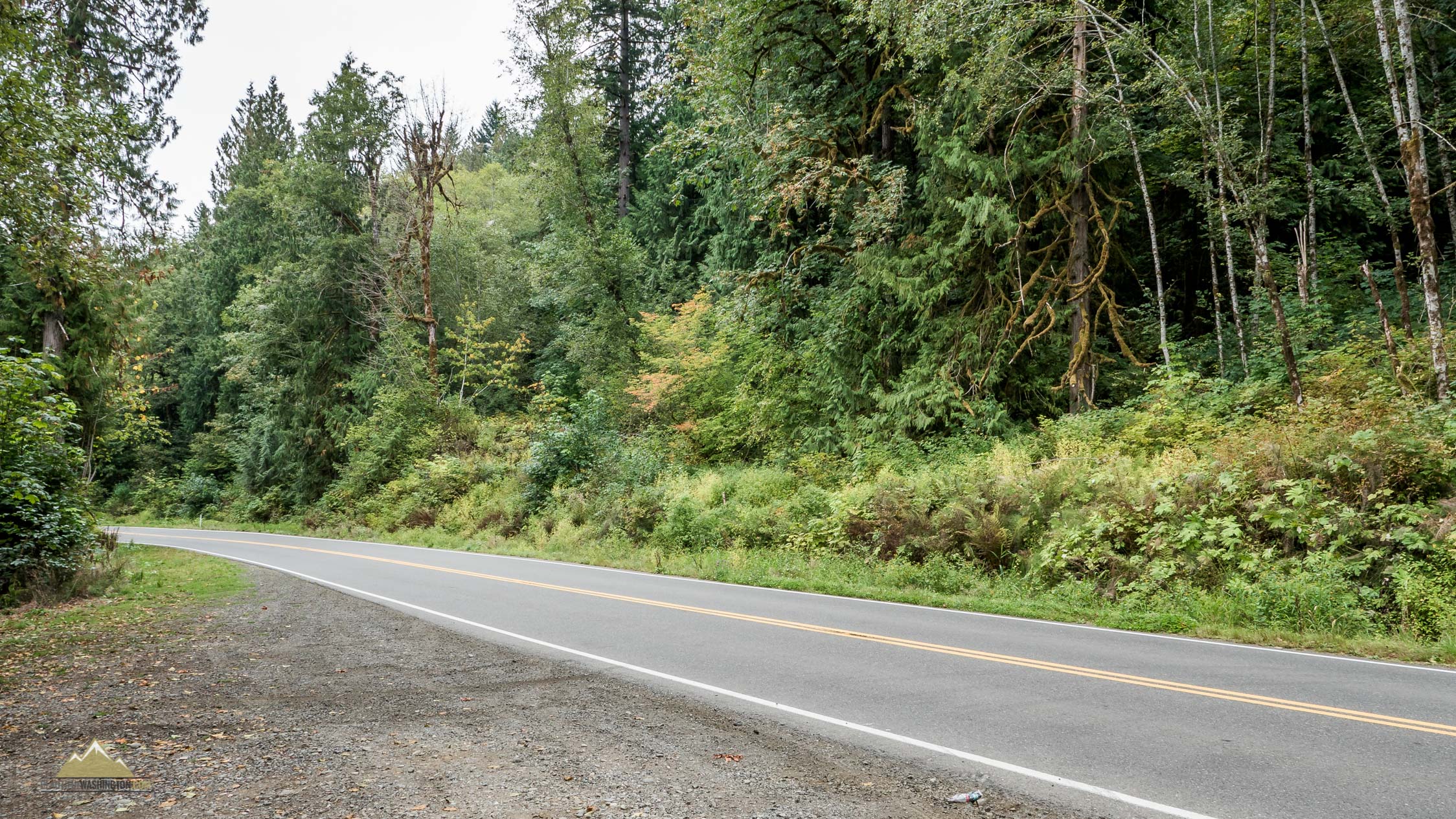 Skokomish River Fishing