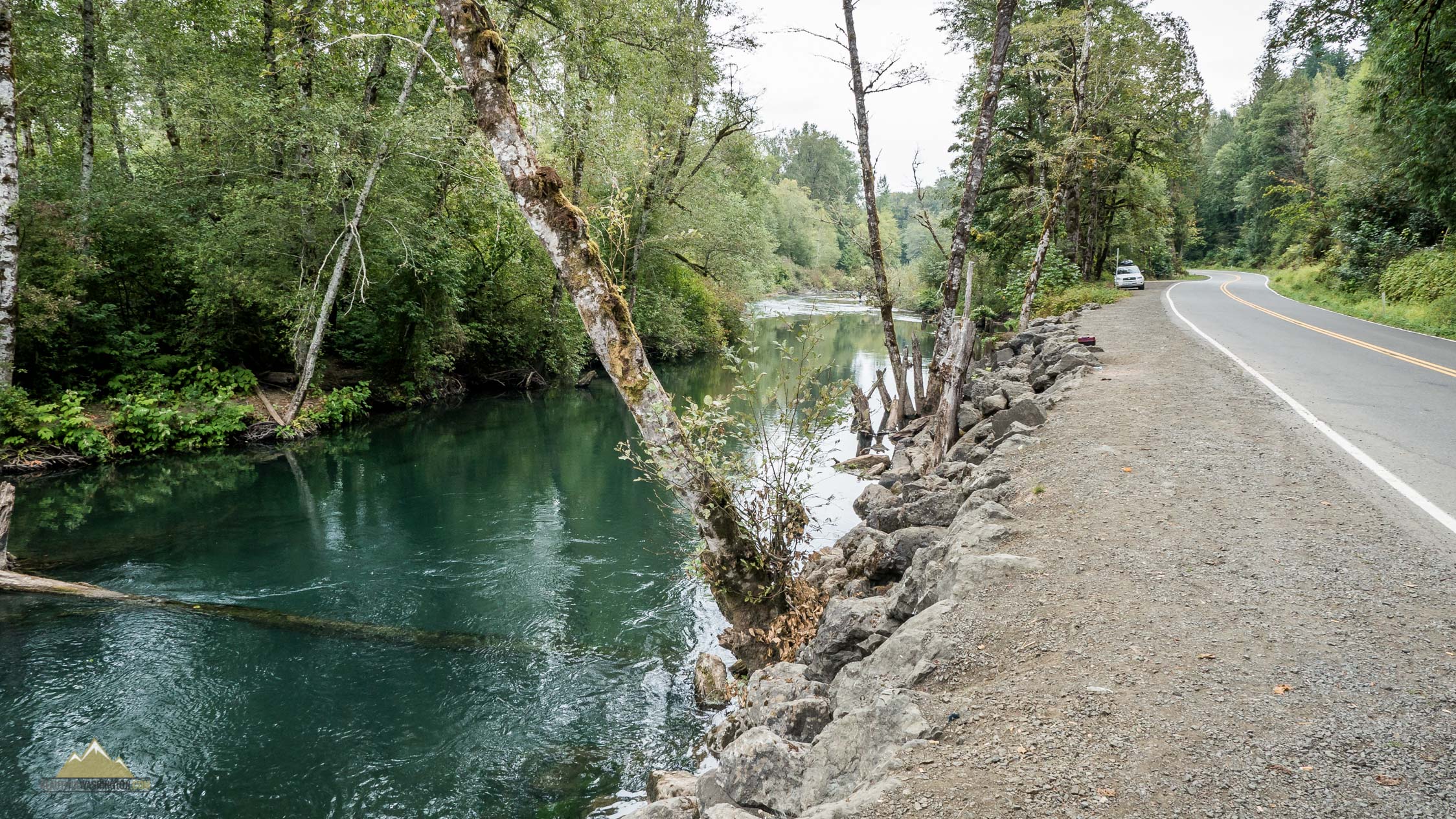 Skokomish River Fishing