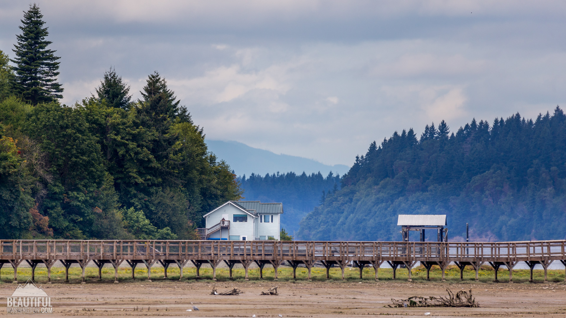 Nisqually Wildlife Refuge Photo from Nisqually Wildlife Refuge, Washington State