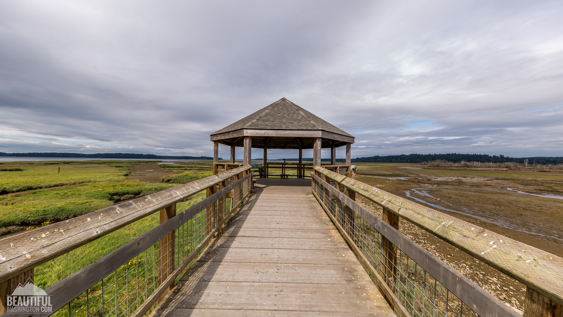 Nisqually National Wildlife Refuge Photo from Nisqually National Wildlife Refuge, Washington State