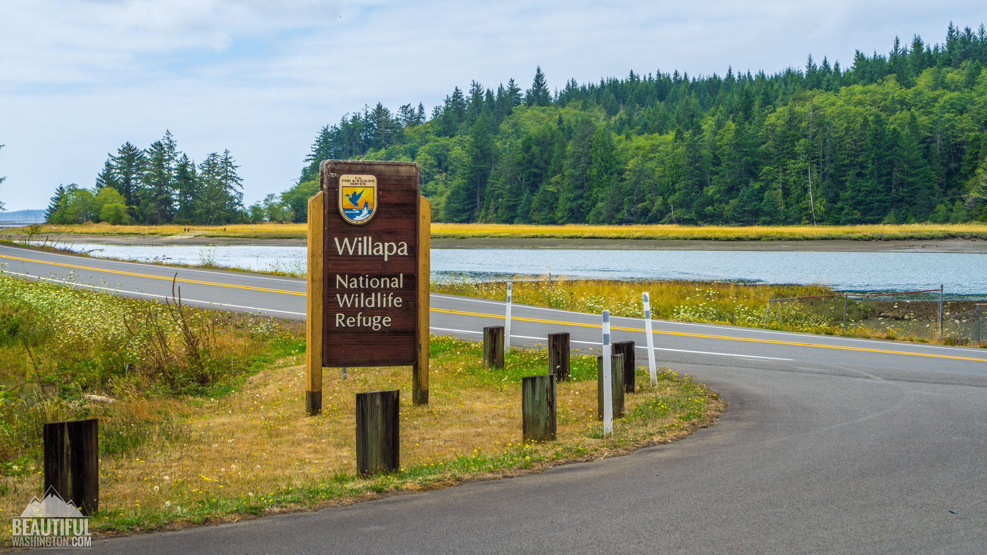 Willapa National Wildlife Refuge Photo from Willapa National Wildlife Refuge