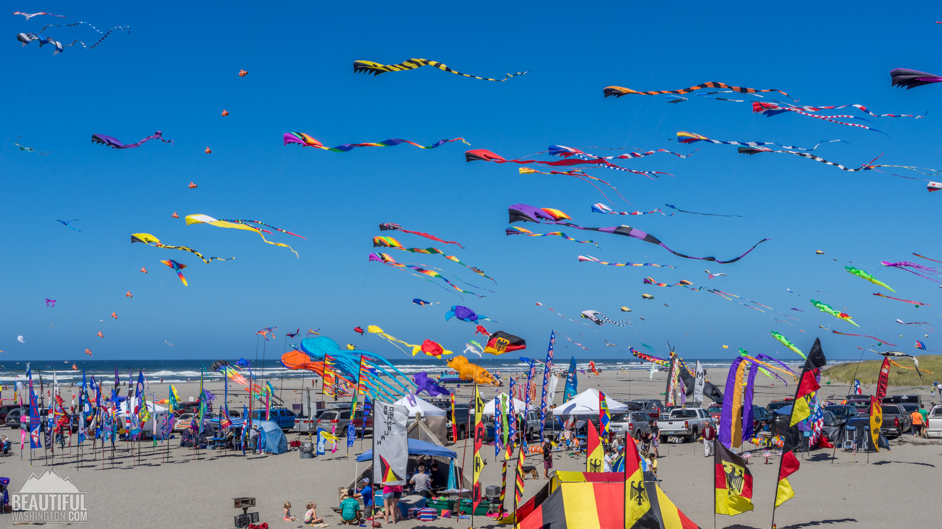 Washington State International Kite Festival