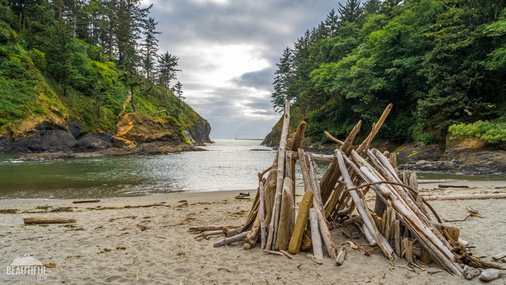 Photo from the Cape Disappointment Trail, located in Cape Disappointment State Park, Long Beach Area, Pacific County