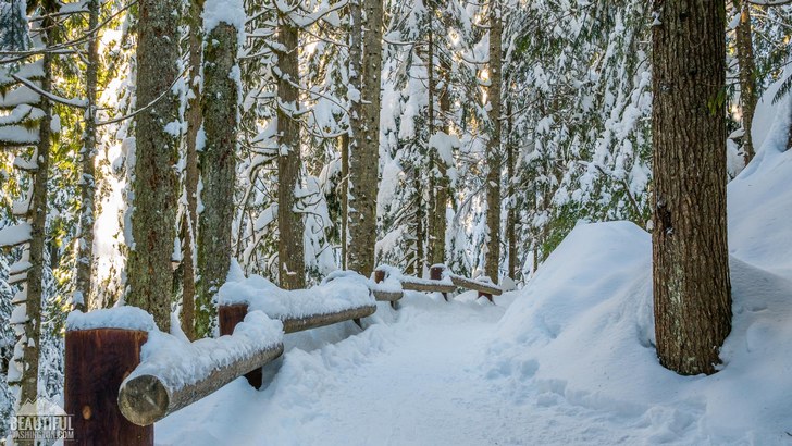 Winter beauty of the Franklin Falls Trail, Snoqualmie Region, North Bend Area