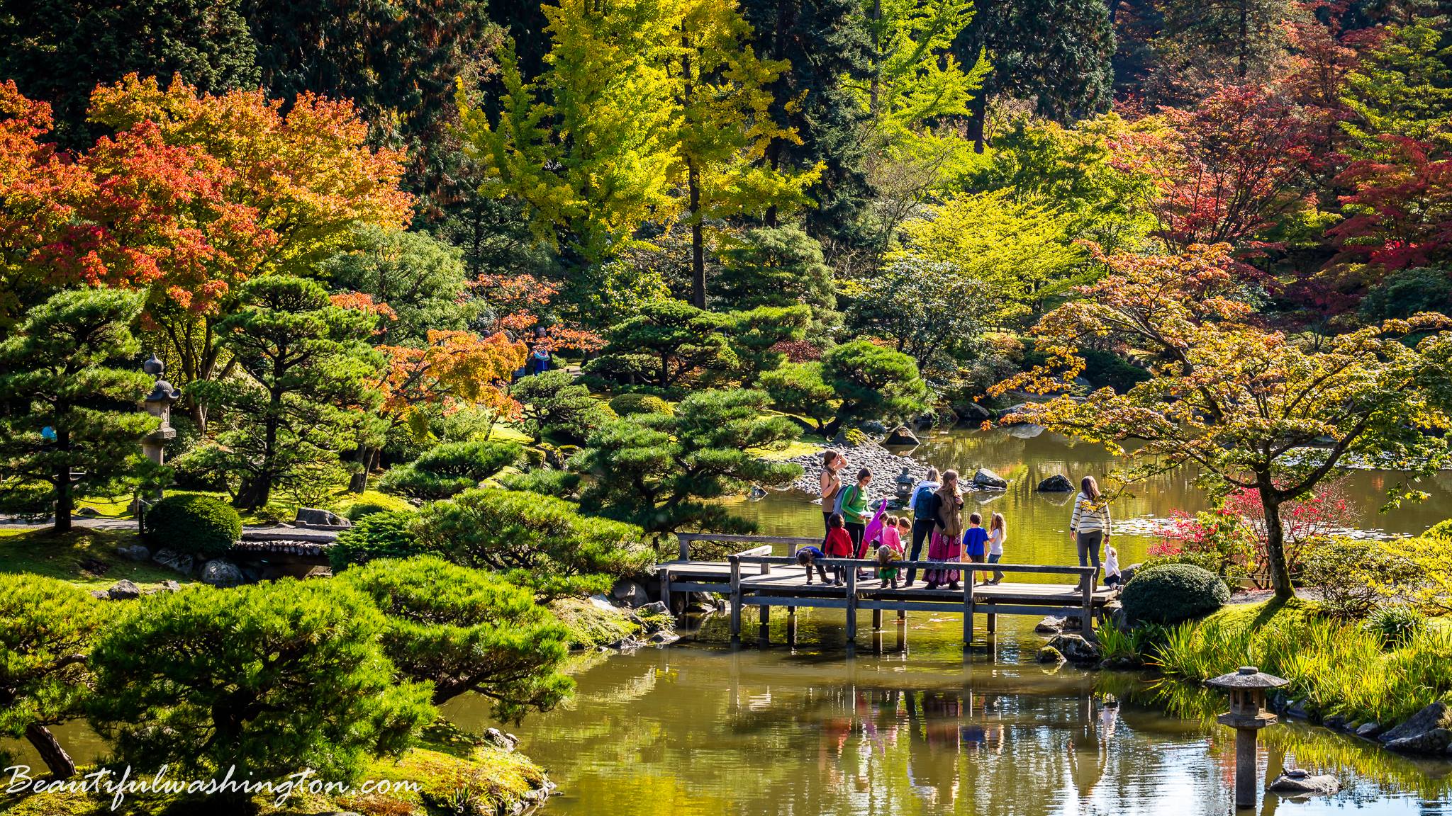 Seattle Japanese Garden 1 Photo taken at Seattle Japanese Garden