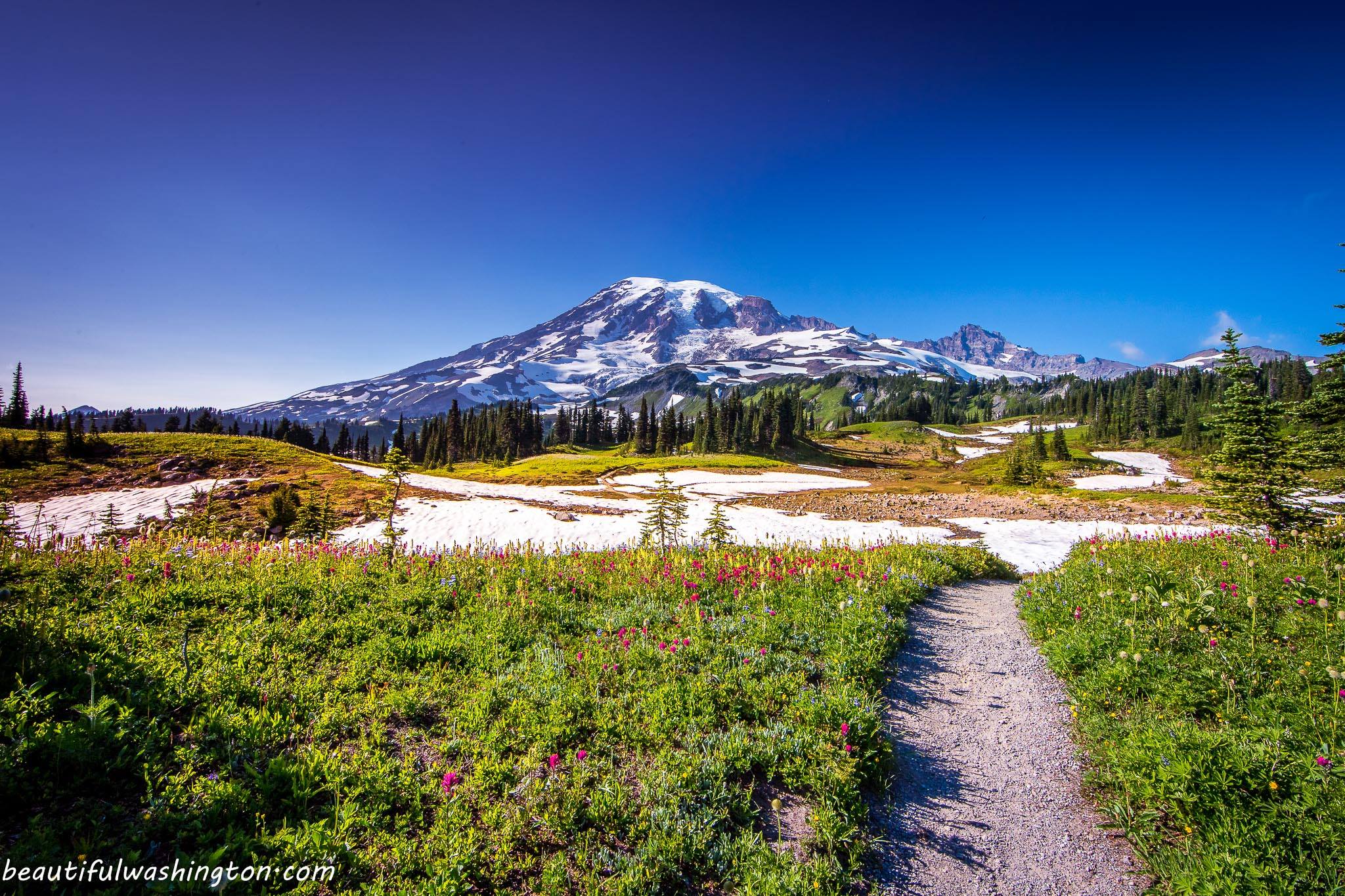Mount Rainier Deceptive Enchantment Of The Most Prominent Washington 
