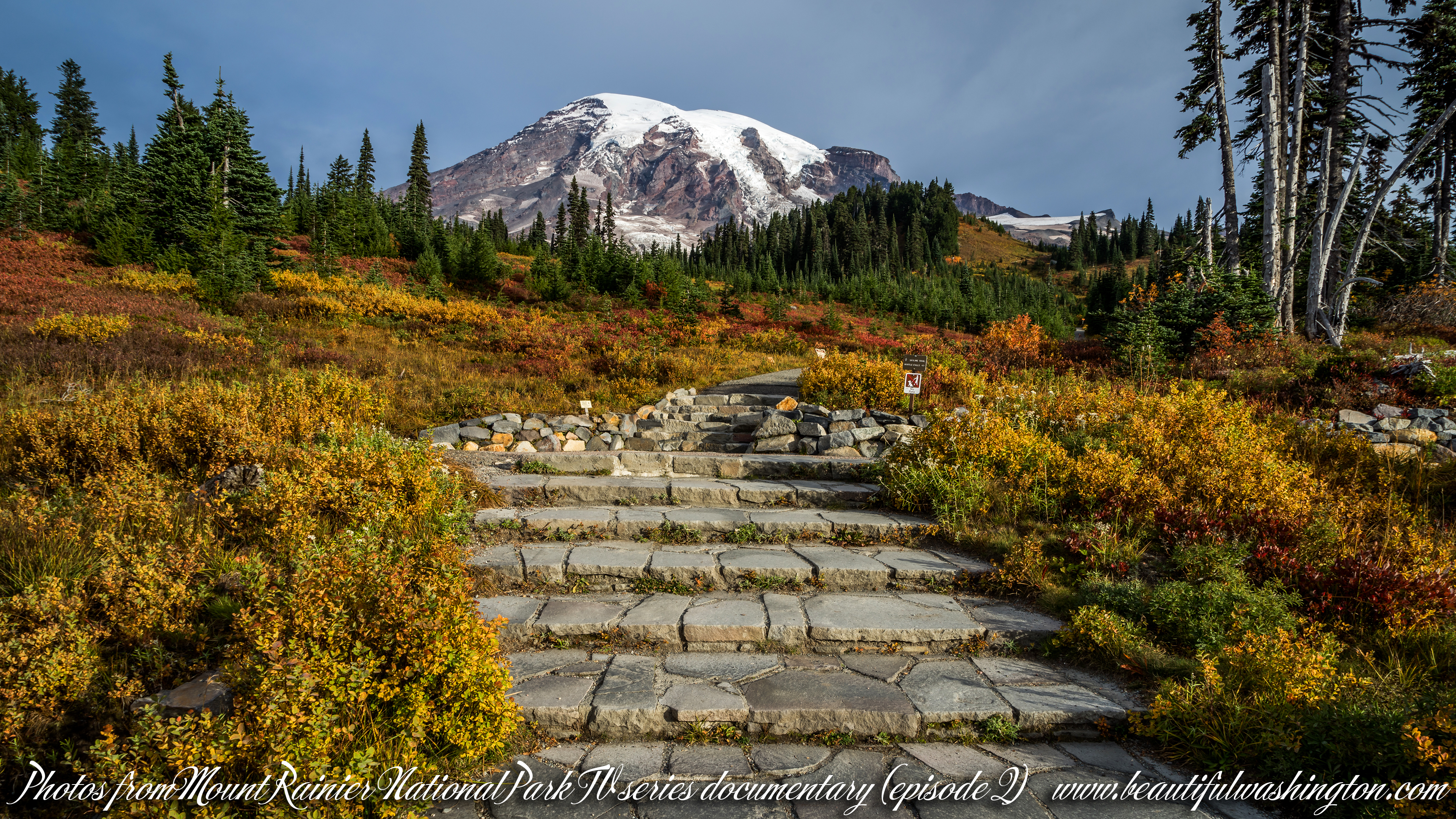 Photo from Mount Rainier National Park