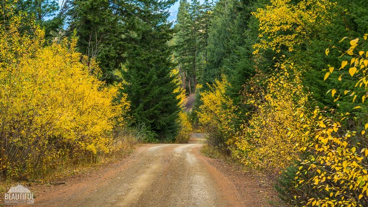 Photo from Mountain Home Road, taken in October; Leavenworth Area, Central Cascades Region