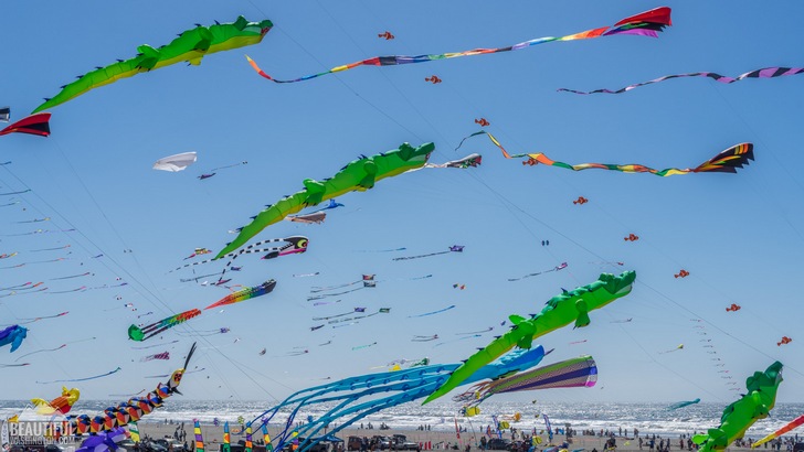 Photo taken at the Washington State International Kite Festival, Long Beach, WA